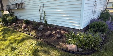 Corner garden bed with rocks and plants along a house's siding.