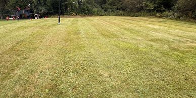A wide, freshly mowed grassy field with trees in the background.