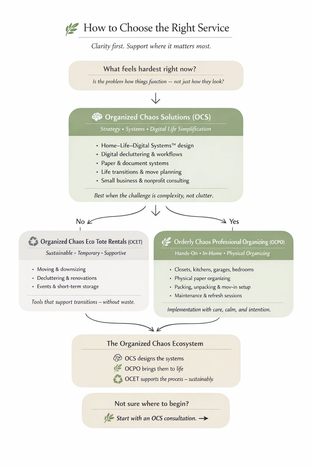 The Organized Chaos Ecosystem