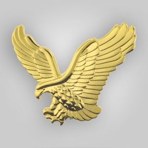 Gold Eagle Pin Magnetic Back