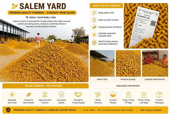 Salem Yard turmeric, premium quality turmeric from Salem, Tamil Nadu, India.