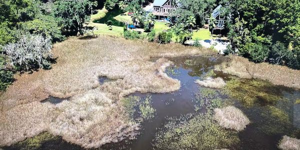 Top view of the surrounding marsh and house.