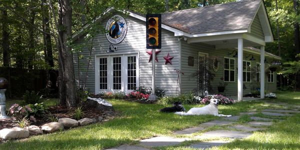 Two dogs lounging on the grass in front of a house with a traffic light.