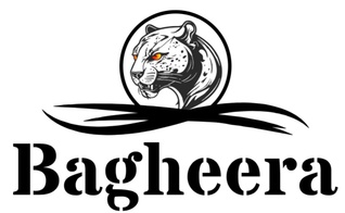 Welcome to Bagheera Solutions