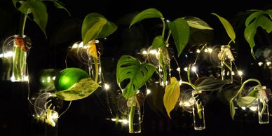 Floating Gardens magnetic propagation stations with fairy lights