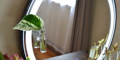 Magnetic propagation station with suction cup on a vanity mirror with marble queen pothos cutting.