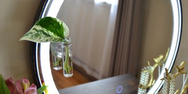 Floating Gardens magnetic propagation station on a vanity mirror