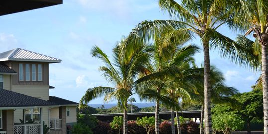 View from one of the master bedroom windows