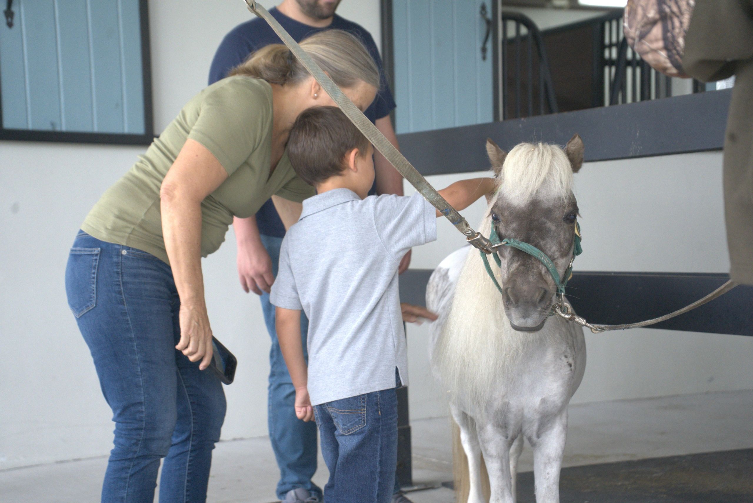 Healing through Horses The Unique Approach of Whispering Manes