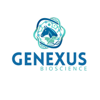 genexus.pe