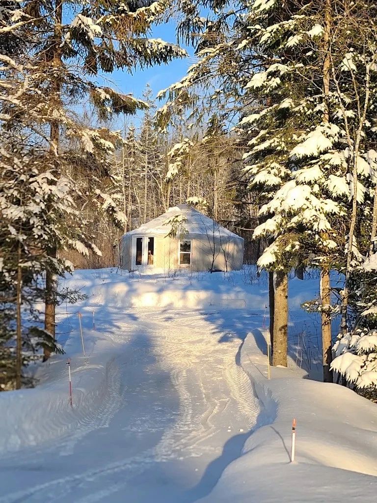 Yurt in snowy forest during winter.