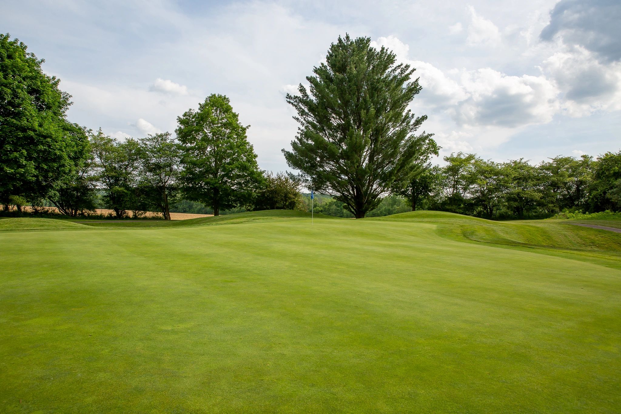 Wilkshire Golf Course