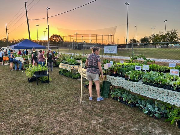 Fall 2024 Plant sale showing tables with many vegetables and volunteers. 
