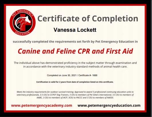 emergency certificate in education