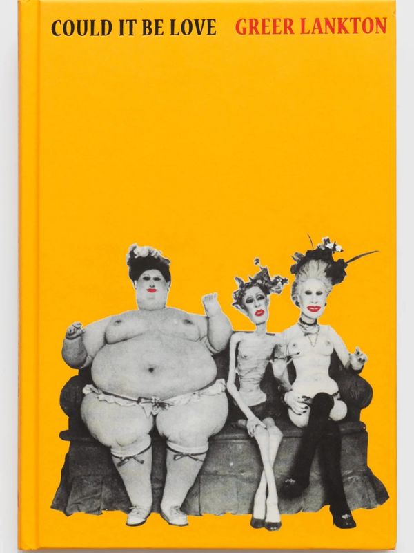 Cover of Book Could it Be Love by Greer Lankton