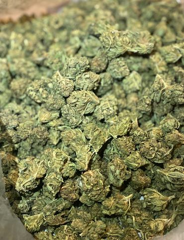 Best Wholesale CBD Flower  Indoor CBD Flower Greenhouse CBD flower. 