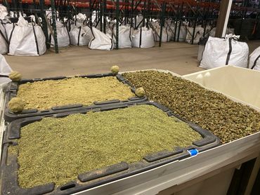 Wholesale CBD Kief for sale Best  CBD Kief wholesale bulk Flower