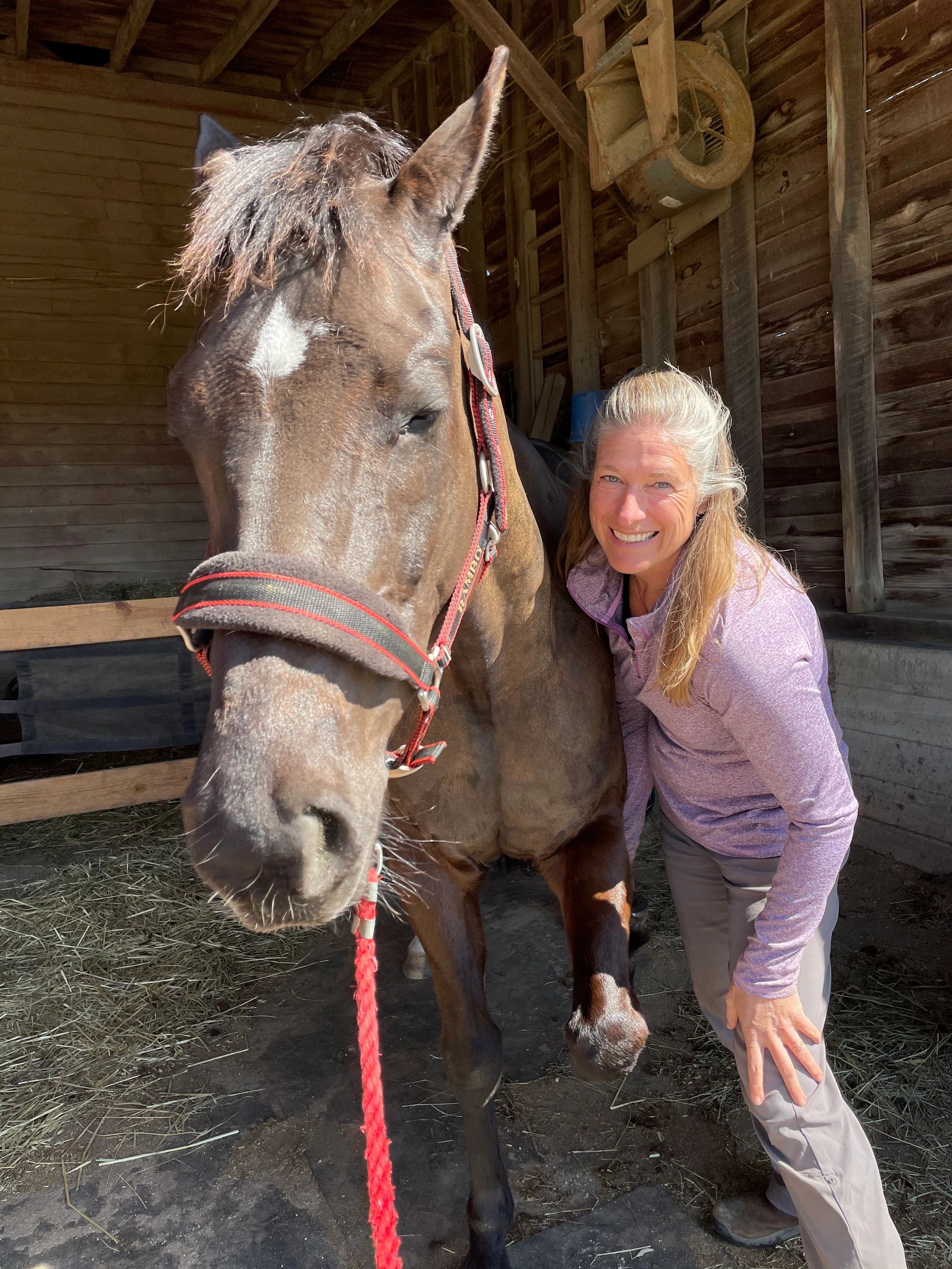 Full Circle Veterinary Services logo