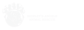 Shirley's Angels Animal Rescue