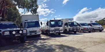 Some of the fleet at Reliable Haulage 