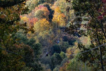 Zip lines among fall foliage.