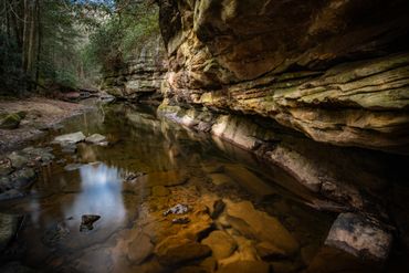 A peaceful creek in the forest.