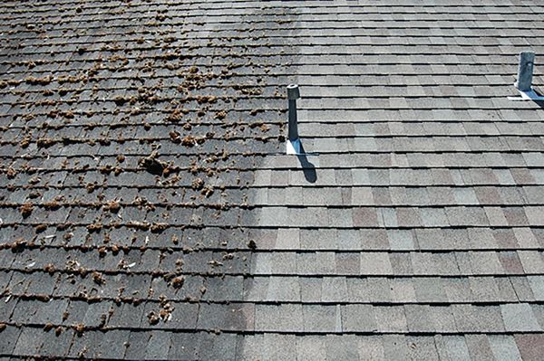 Mossy roof being cleaned and restored