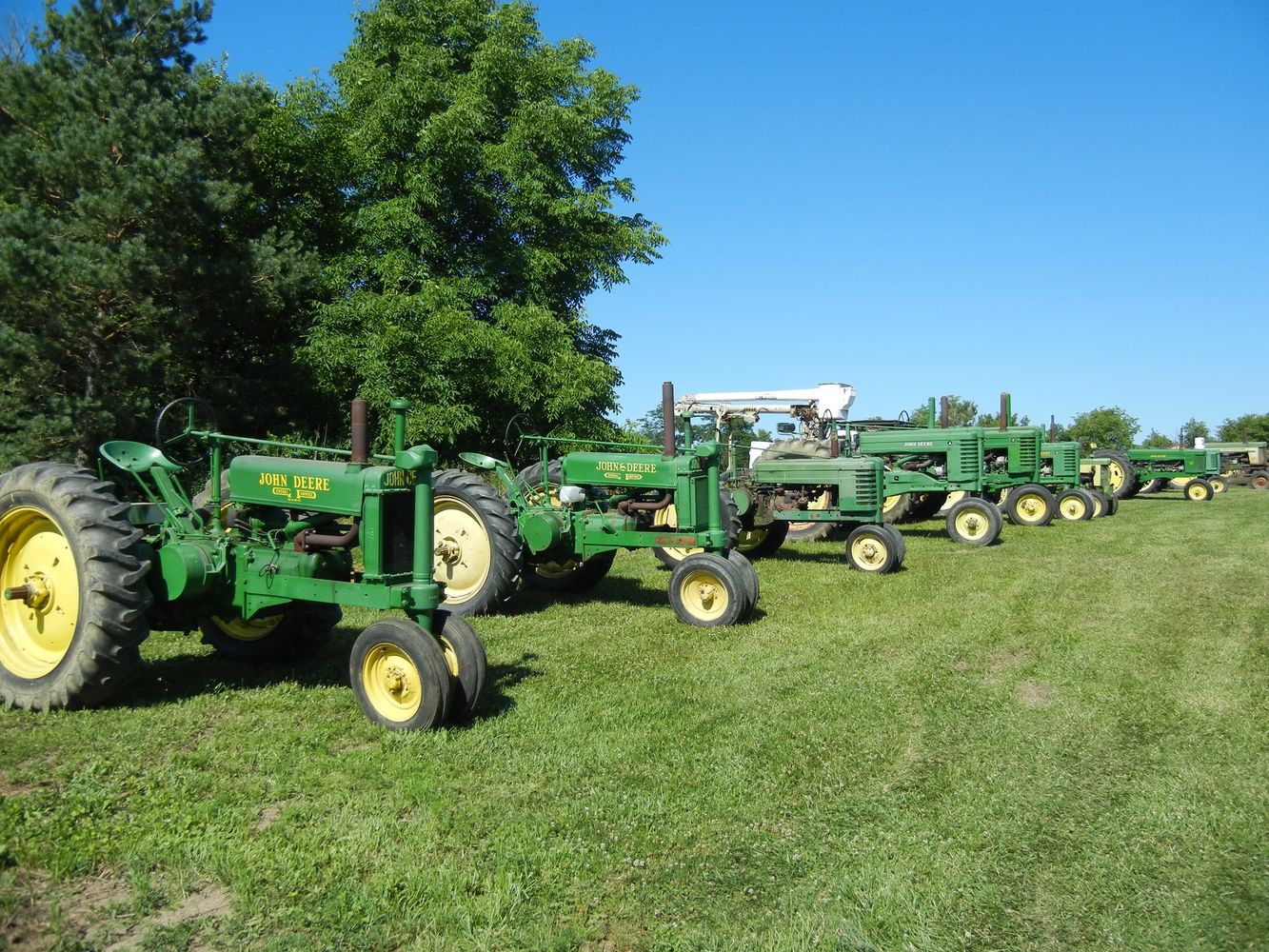 Photo of Dann Auctioneers prior auction.