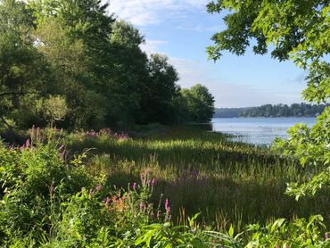 White Memorial at Bantam Lake offers something special with each season. 