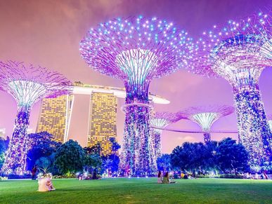 Illuminated Supertree Grove with Marina Bay Sands in the background at night.