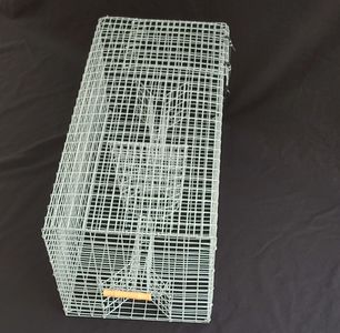 Master Steel Pinfish Trap