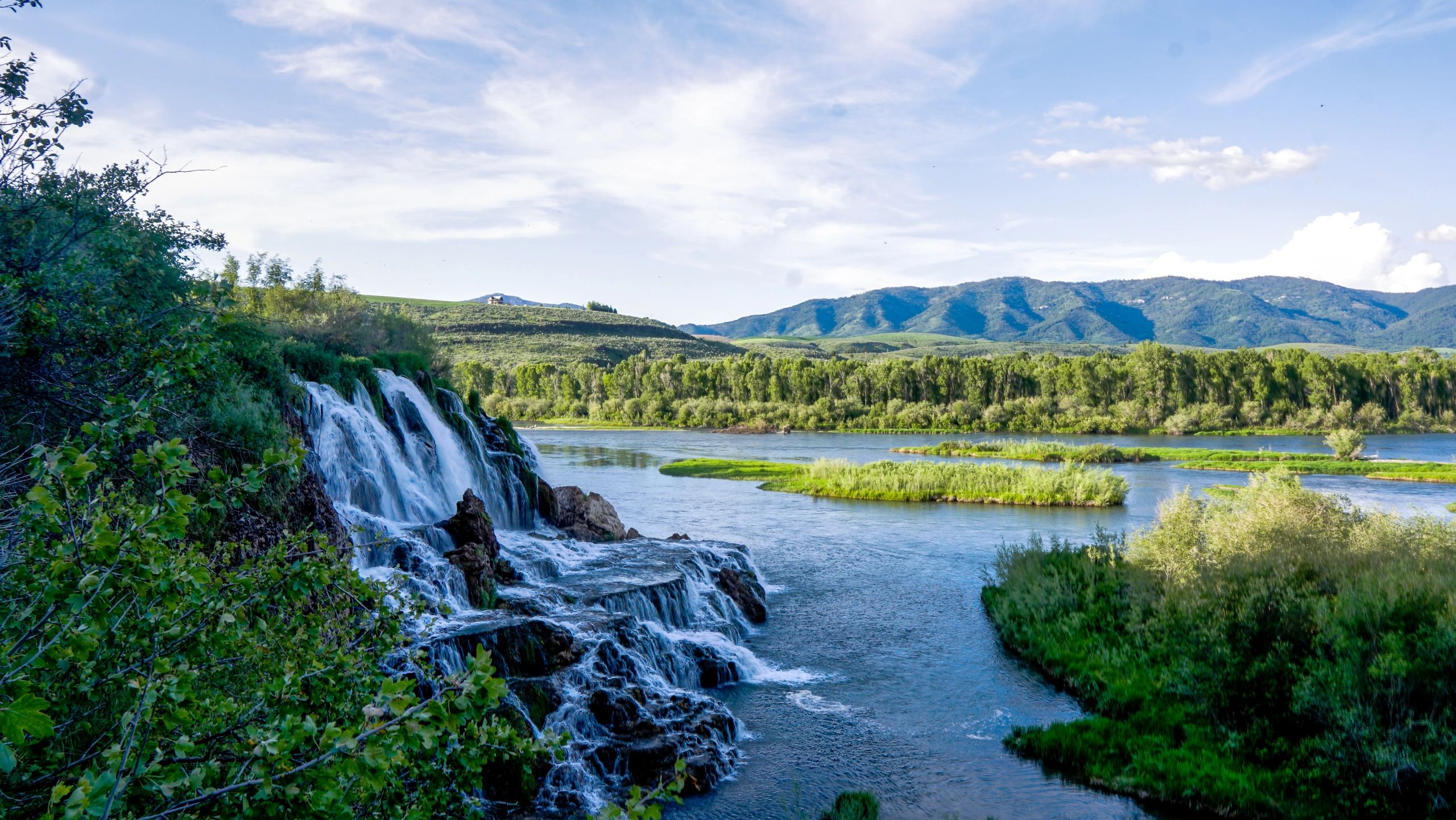 south fork property services