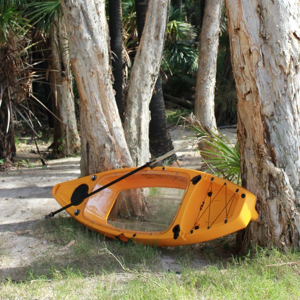 Kayak