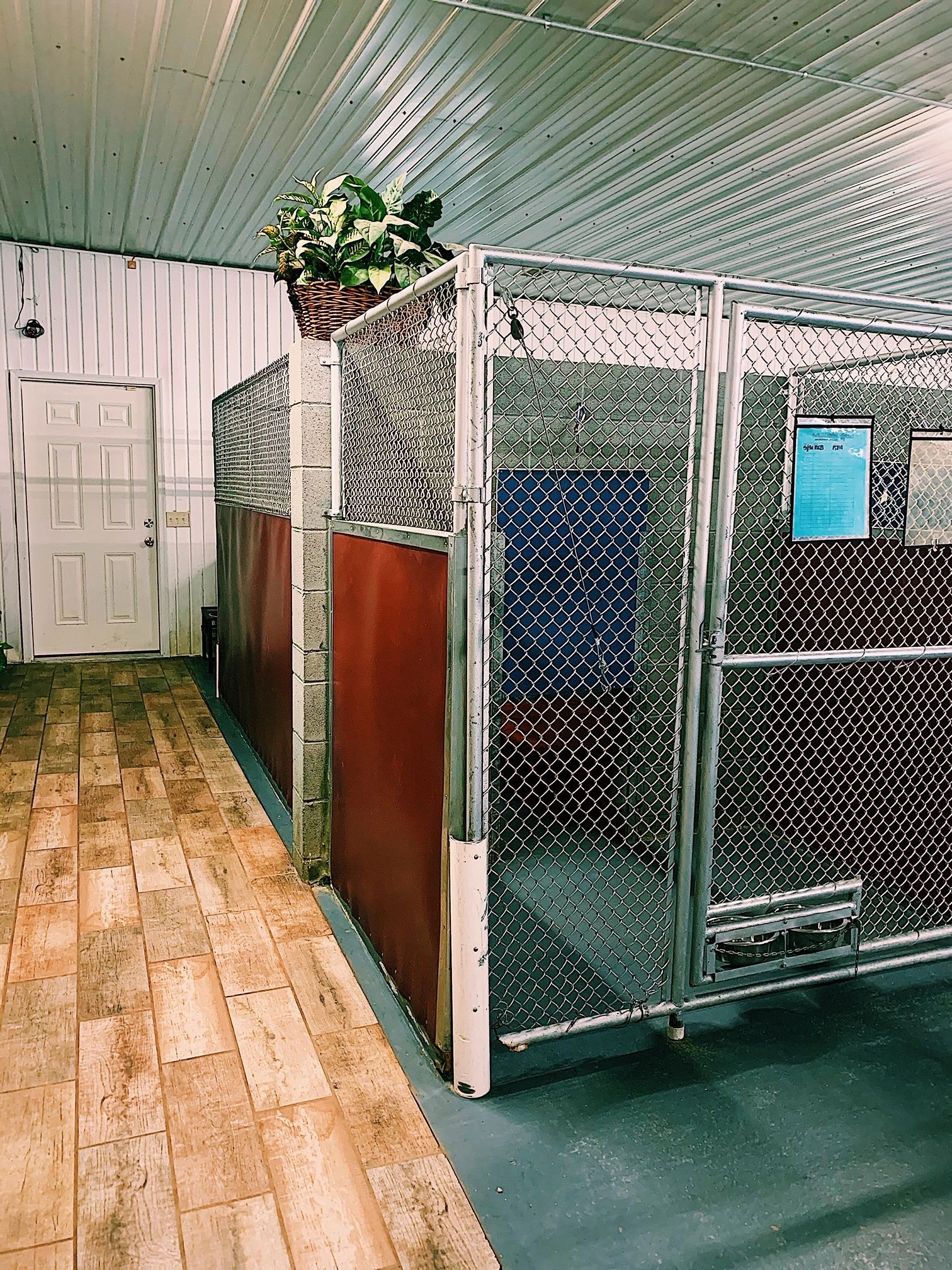 dog boarding kennel design