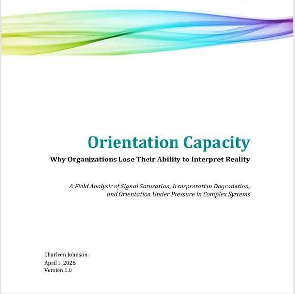 Cover page of a report on organizational orientation capacity.