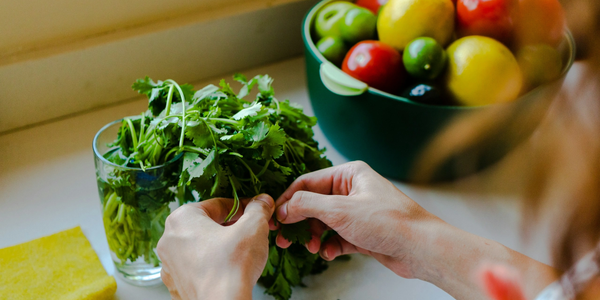 Hands picking fresh cilantro beside a bowl of colorful vegetables.