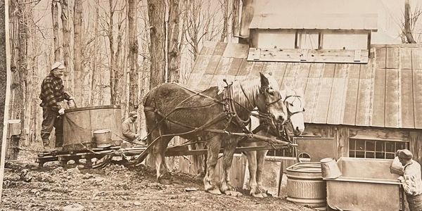 Grandfather Babcock and Uncle Leigh making syrup