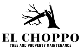 El Choppo Ltd