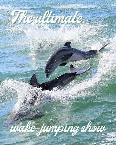 Two dolphins leaping out of the water in a lively ocean scene.