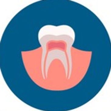 A cartoon tooth showing the pulp and root