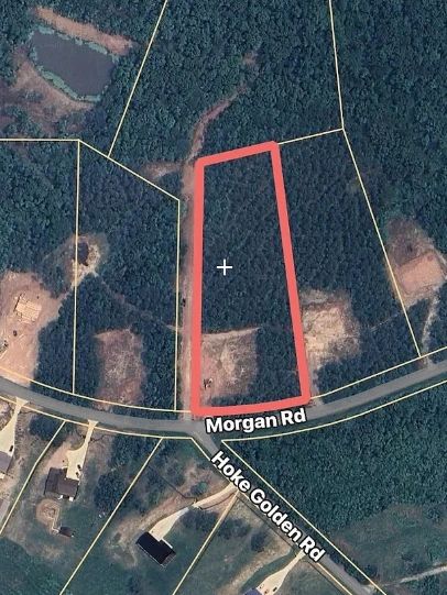 Aerial view of a wooded land plot outlined in red near Morgan Rd and Hoke Golden Rd.