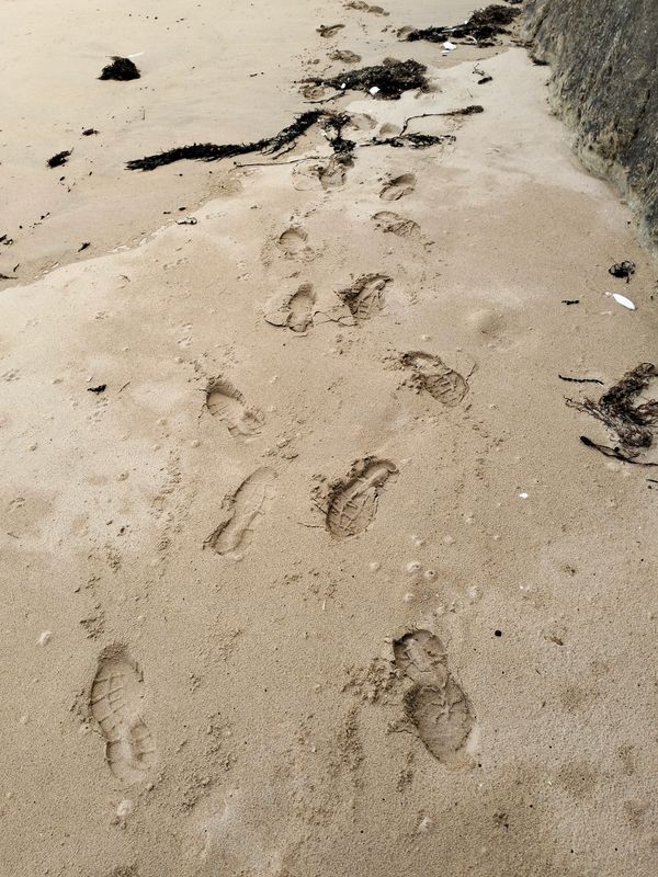 Footprints and seaweed scattered on a sandy beach near a rock.