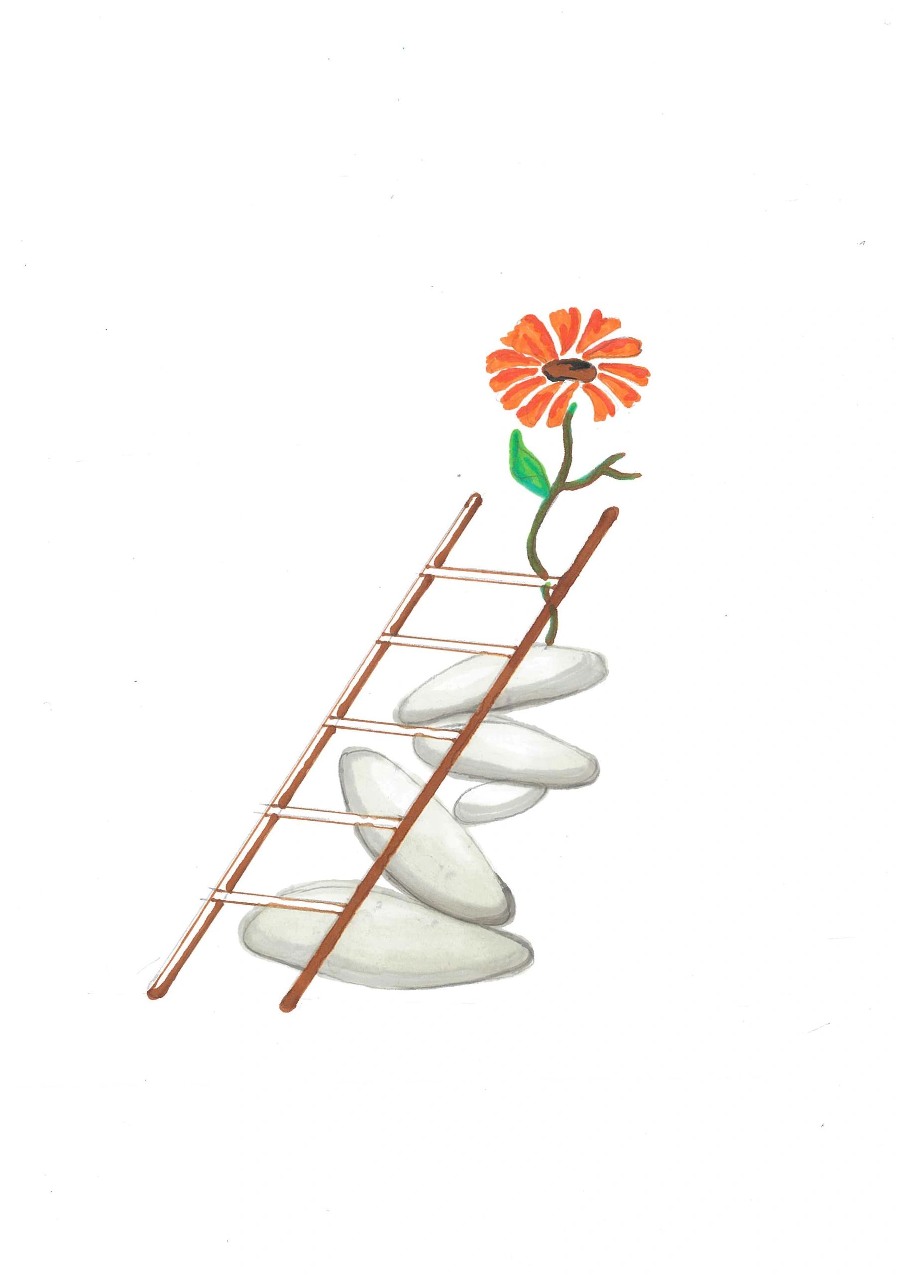 A flower growing through a ladder resting on stacked stones.