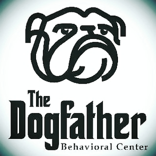 The Dogfather Training