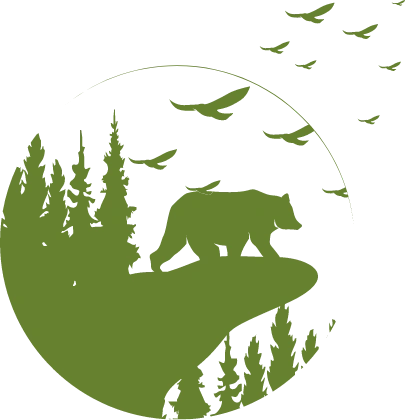 Bear in a forest icon