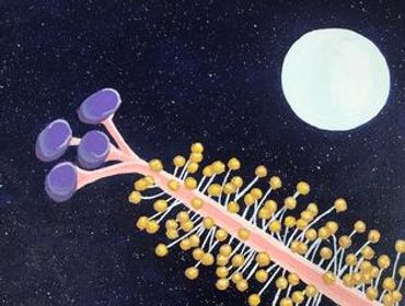 Artistic depiction of a colorful plant-like structure against a night sky.