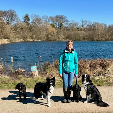 Dog Trainer Tracy White and dogs