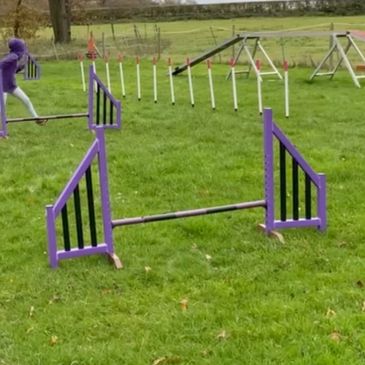 Image of a jump, weaves and dog walk