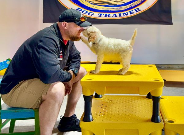 Puppy Paw-Sitive Start Program