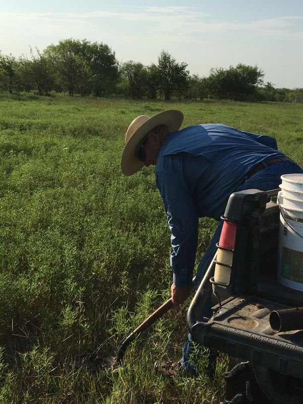 Denver taking soil samples to insure soil, plant, and animal health